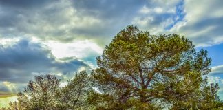 The Best Picnic Sites in Kenya Picnic sites