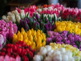 The Best Flower Delivery Companies in Kenya Flower Bouquet