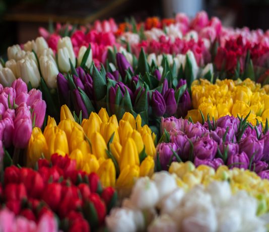 The Best Flower Delivery Companies in Kenya Flower Bouquet