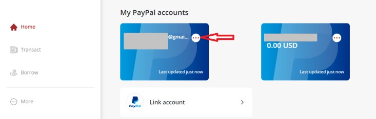My PayPal Accounts