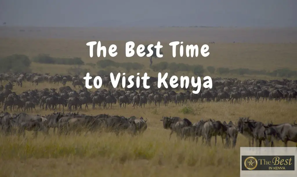 The Best Time to Visit Kenya The Best in Kenya