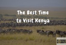 Which Is the Best Time to Visit Kenya? The Best Time to Visit Kenya