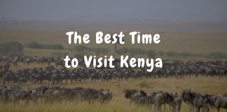Which Is the Best Time to Visit Kenya? The Best Time to Visit Kenya