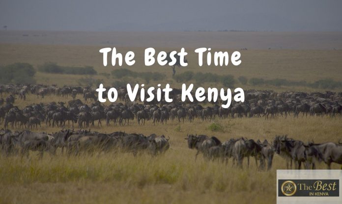 The Best Time to Visit Kenya