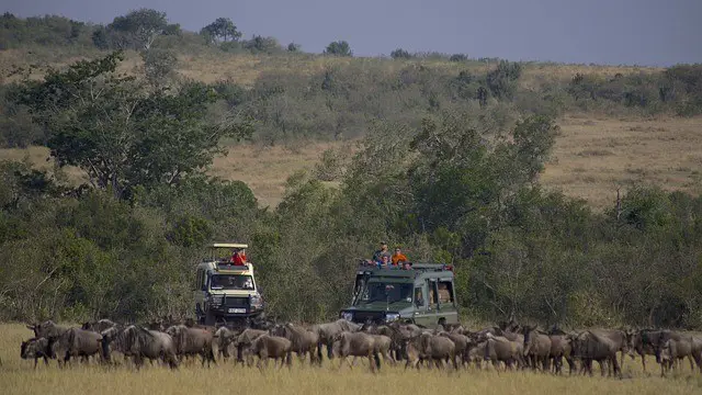 Maasai Mara