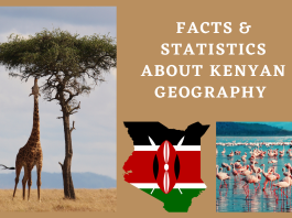 Amazing Facts & Statistics about the Geography of Kenya Facts & Statistics about Kenyan Geography