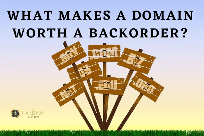 What Makes a Domain Worth a Backorder
