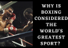 6 Reasons Boxing Is World’s Greatest Sport Why Is Boxing Considered The World's Greatest Sport?