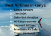 Best Domestic & International Airlines in Kenya Best Airlines in Kenya