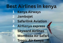 Best Domestic & International Airlines in Kenya Best Airlines in Kenya