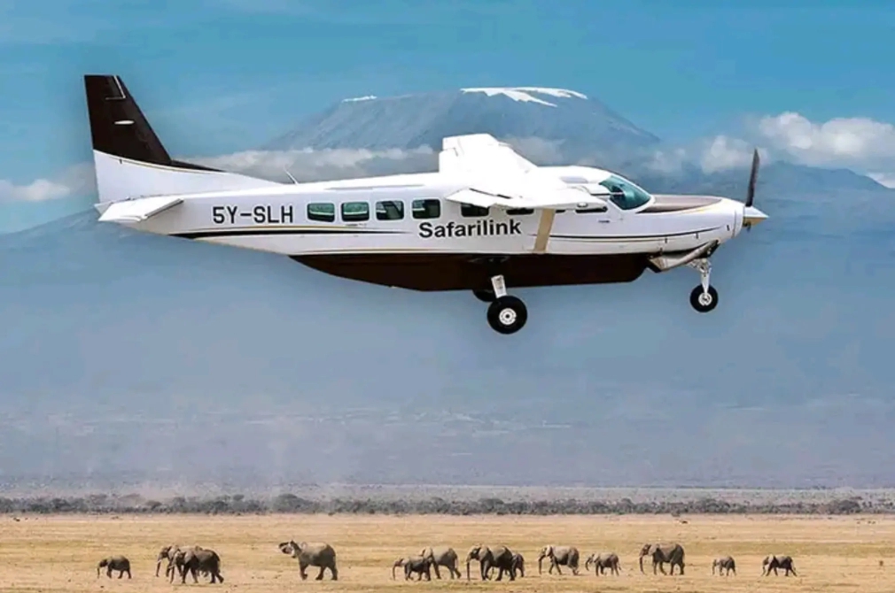 Safarilink Aviation Cessna 208 Grand Caravan (registration 5Y-SLH) flying over a herd of elephants with a mountain backdrop, a classic safari aircraft operated by Kenya’s premier safari airline connecting Wilson Airport to bush airstrips and destinations across Kenya and northern Tanzania.