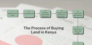 Buying Land in Kenya The Process of Buying Land in Kenya