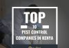 Top 10 Pest Control Companies in Kenya Pest Control Companies in Kenya