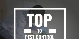 Top 10 Pest Control Companies in Kenya Pest Control Companies in Kenya
