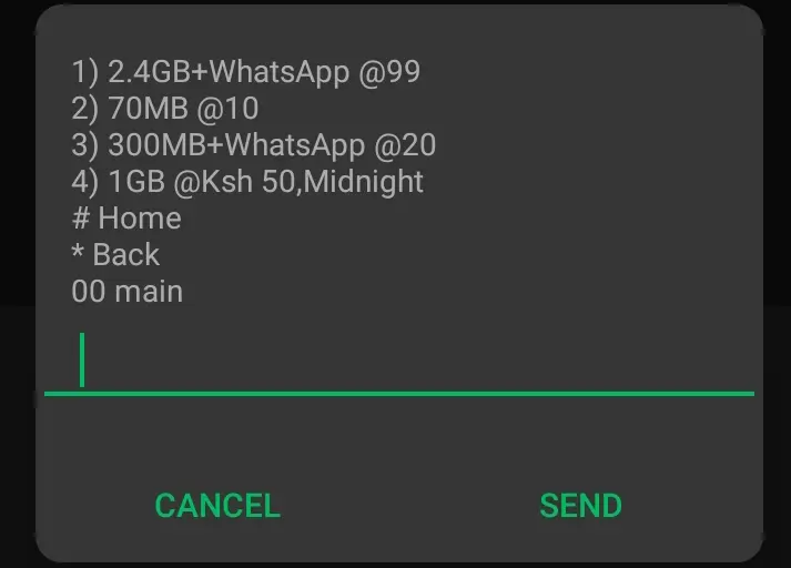 Airtel daily bundles