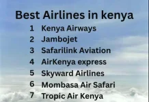 Best Domestic & International Airlines in Kenya Best local and international Airlines in Kenya