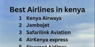 Best Domestic & International Airlines in Kenya Best local and international Airlines in Kenya
